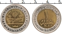 Продать Монеты Египет 1 фунт 2019 Биметалл