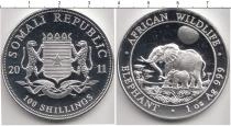 Продать Монеты Сомали 100 шиллингов 2011 Серебро