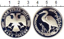 

Монеты Клуб Нумизмат, Монета Россия 1 рубль Серебро 1995 Proof-